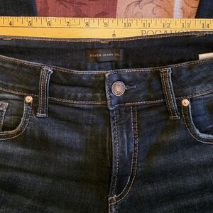 Silver Jeans Co. Britt Straight Fit Women's Jeans 33x33